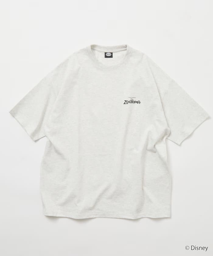 item69cf860bc7606.jpg