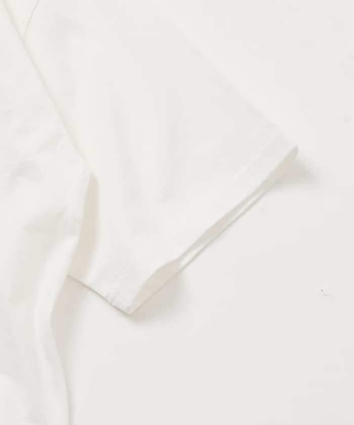 item69cf86bea8455.jpg
