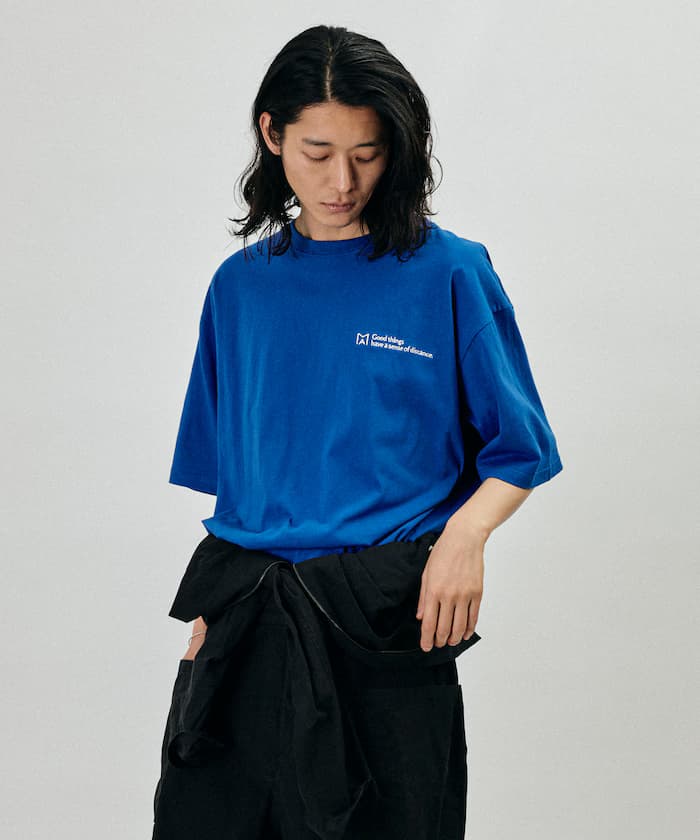 item69d886846a705.jpg