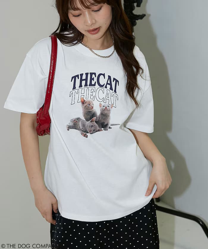 item69ef2a25a1ff8.jpg