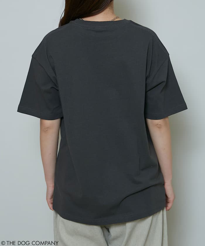 item69effe144fca9.jpg