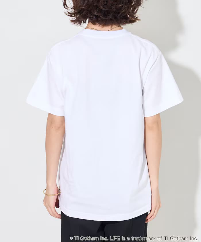 item69fda077b8c77.jpg