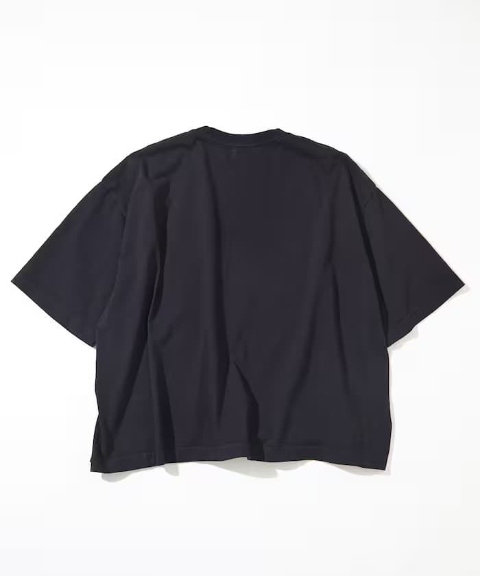 item6a06a07365757.jpg