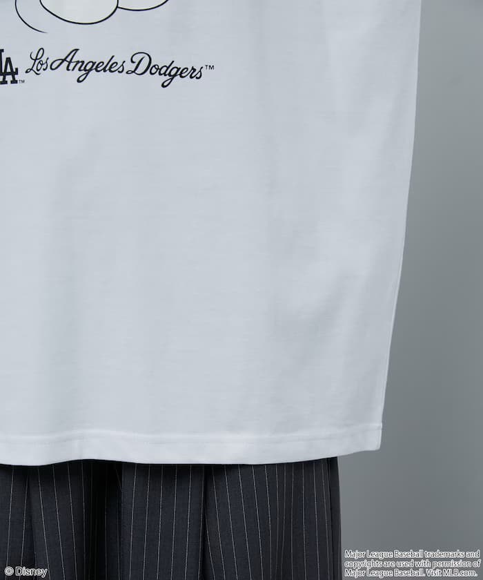 item6a13ae2e6076f.jpg