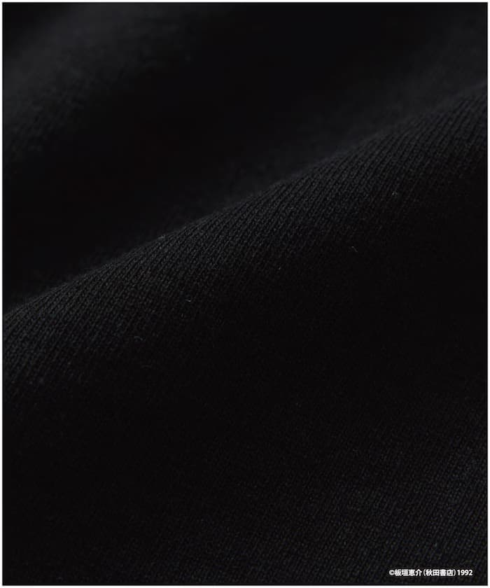 item6a1d0beba858b.jpg