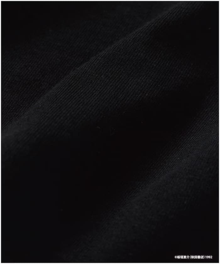 item6a1d0e02863c4.jpg