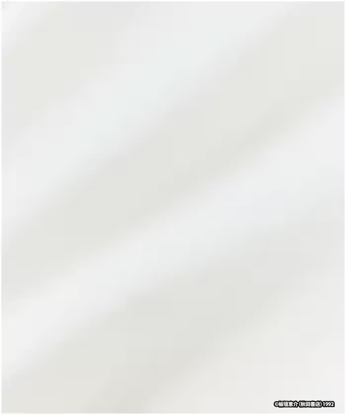 item6a1d0e6b6b90c.jpg