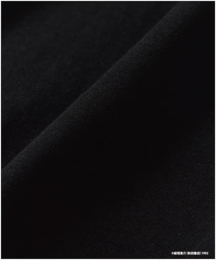 item6a1d0e6d2f3d7.jpg