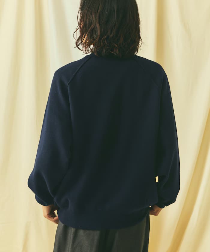 item6a30a69659e18.jpg