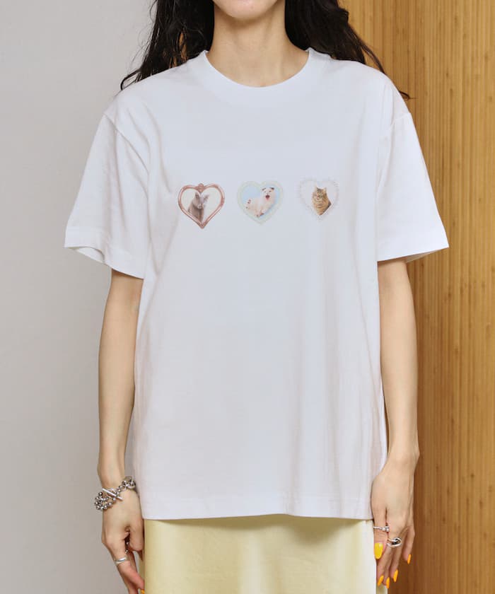 item6a4366acc69e7.jpg