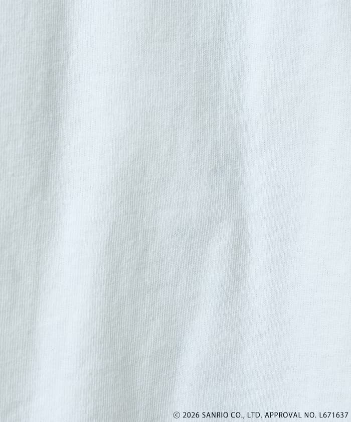 item6a55871d8e3d8.jpg