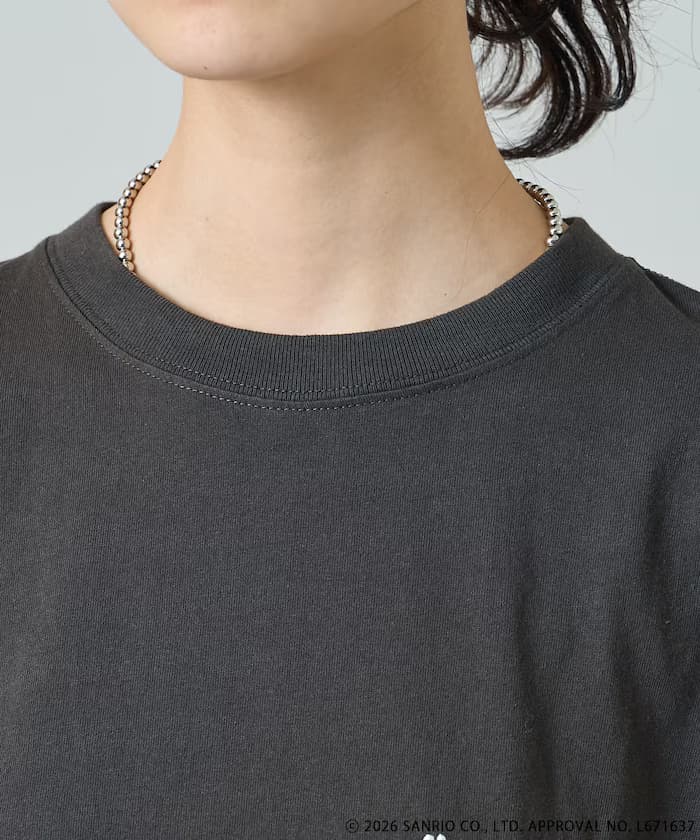 item6a558b2914460.jpg