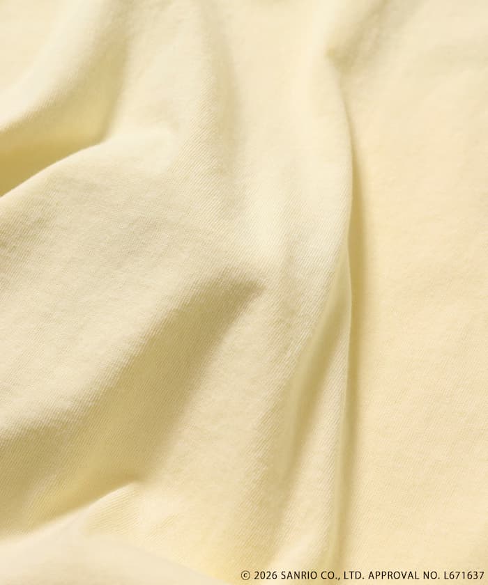 item6a558b386c6c0.jpg