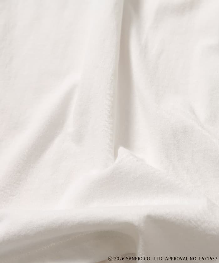 item6a558b44333d0.jpg