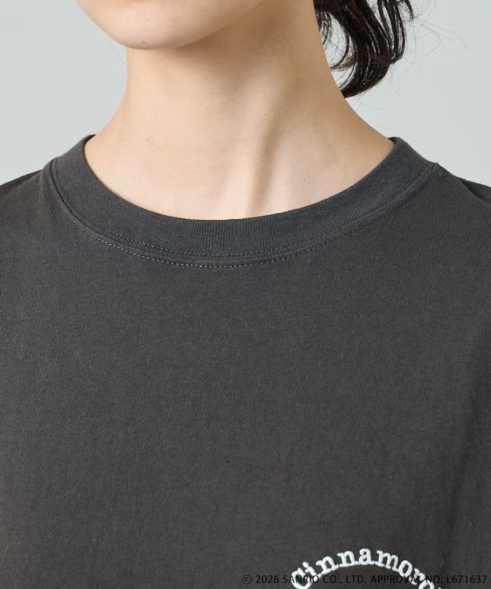 item6a558c33043b8.jpg
