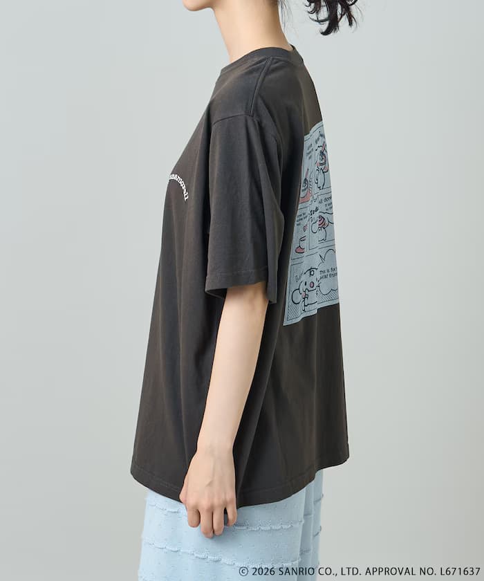 item6a558c342ca02.jpg