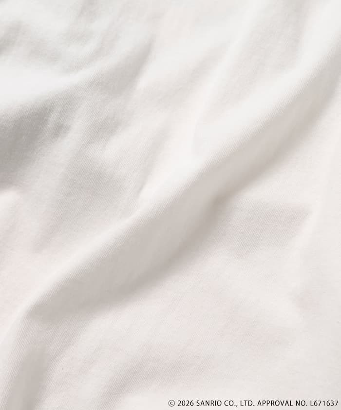 item6a558c4ea1956.jpg