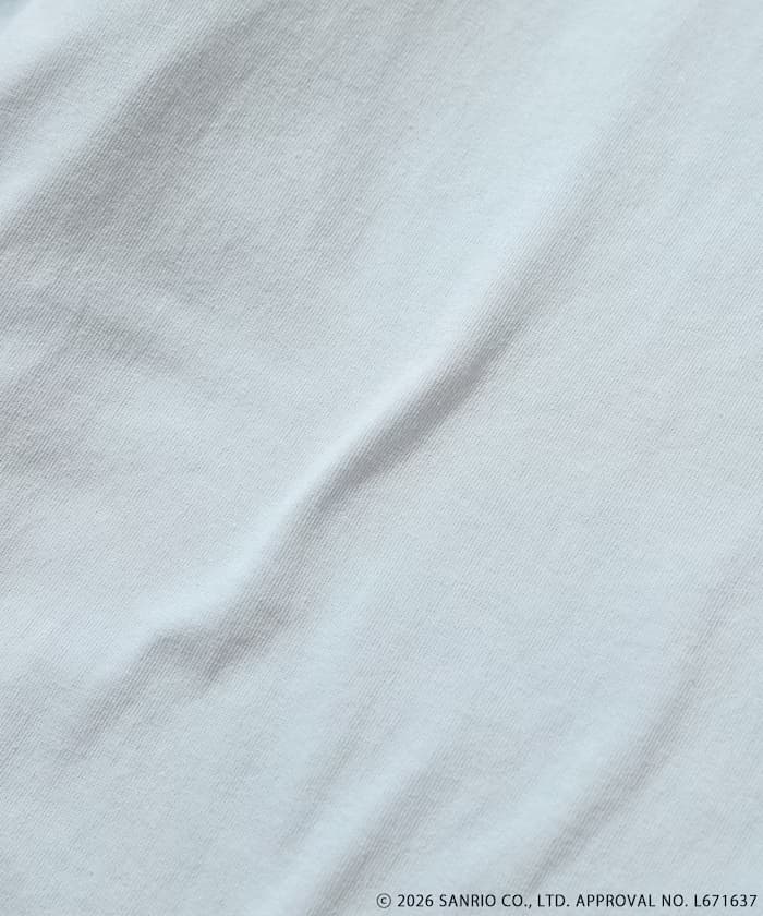 item6a558c59bf859.jpg