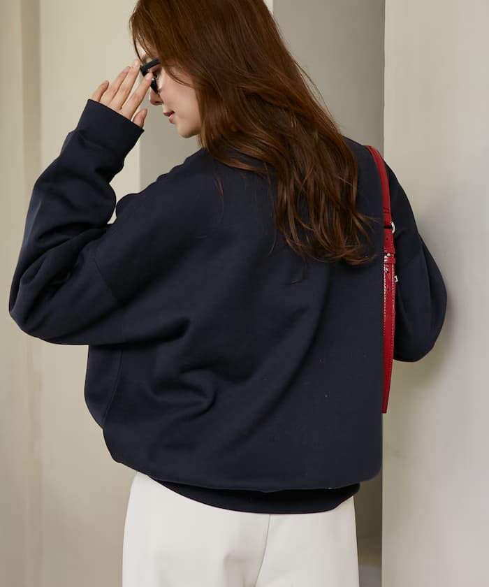 item6a59c80029360.jpg