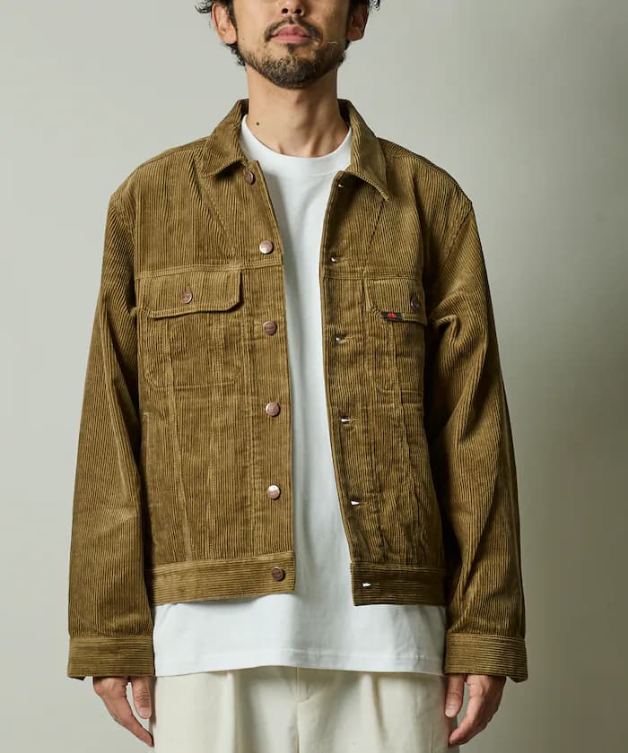 item6a631729ada33.jpg