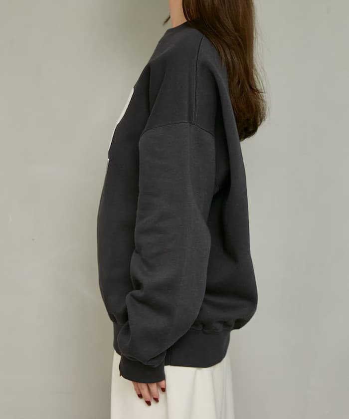 item6a66be108d612.jpg