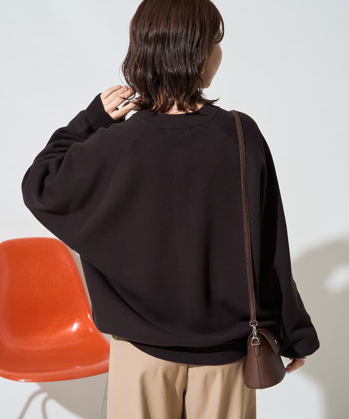 item6a67056892a71.jpg