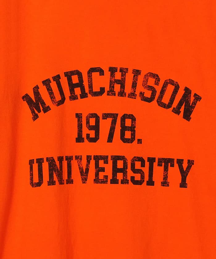 item6a680e1777e63.jpg