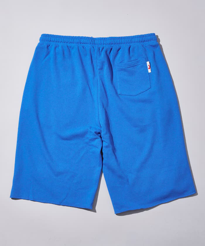 item6a72a329357b8.jpg