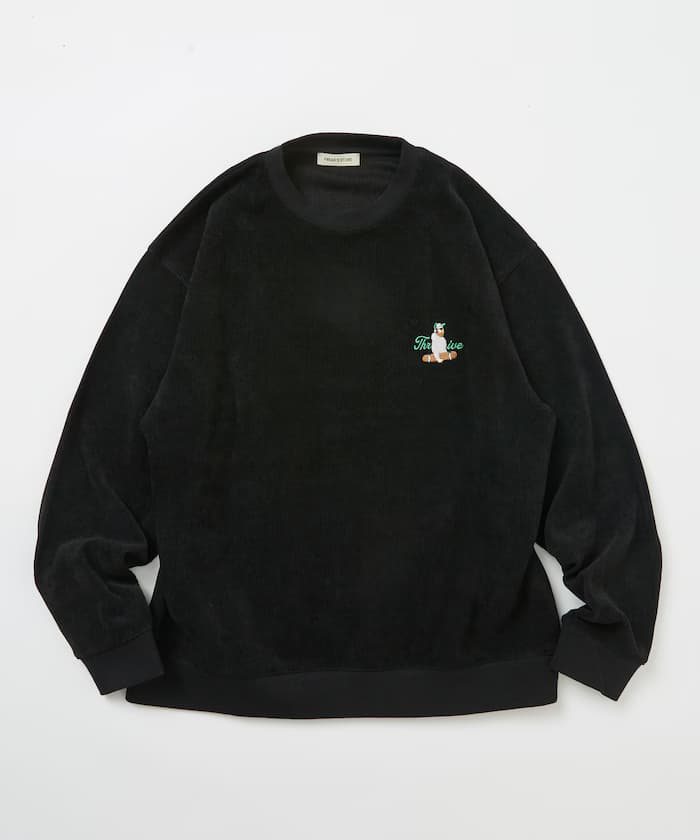 item6a74563b98273.jpg