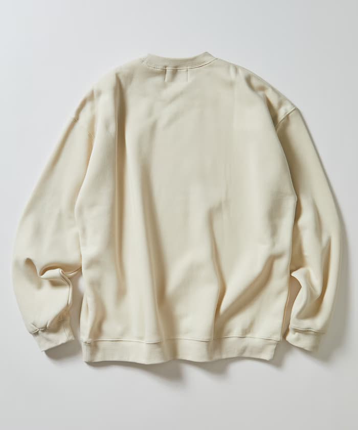 item6a75a9741775d.jpg