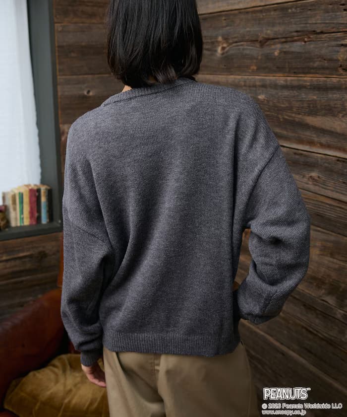 item6aa75f87c3f26.jpg