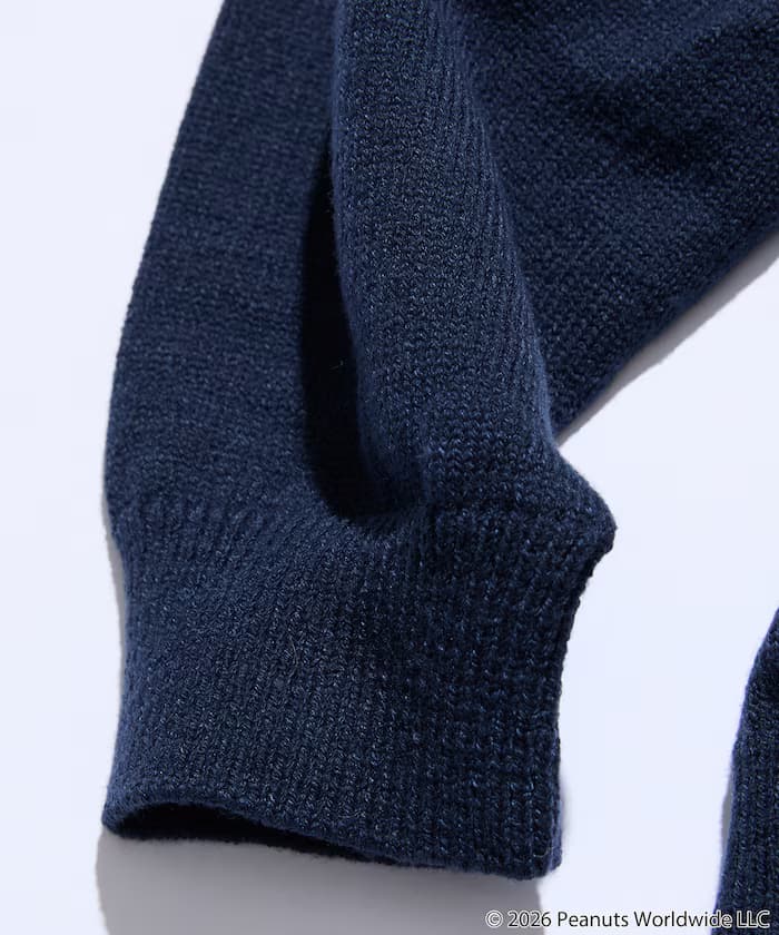 item6aa77da6a4bbc.jpg