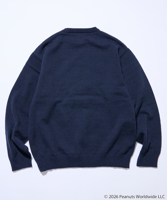 item6aa77dbf15446.jpg