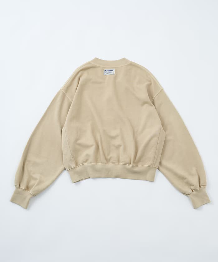 item6aaa0743de46a.jpg