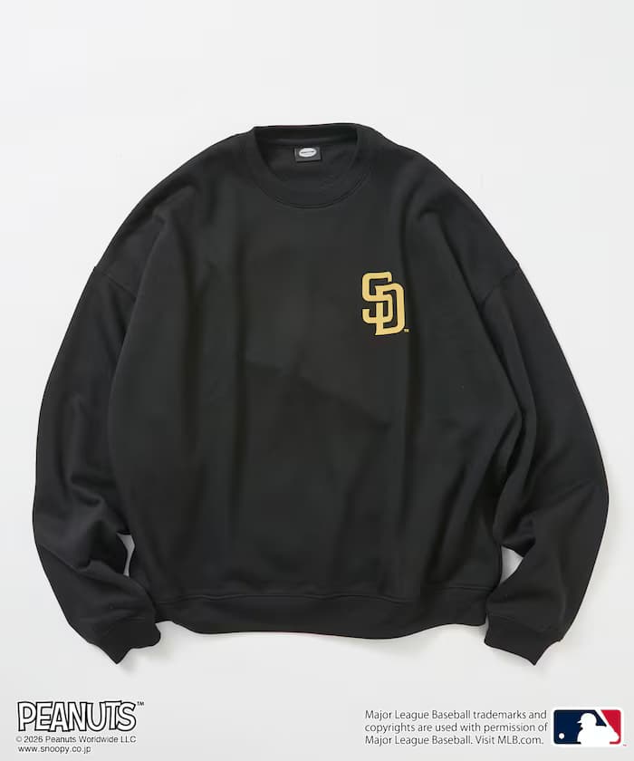 item6aaa3228842d9.jpg
