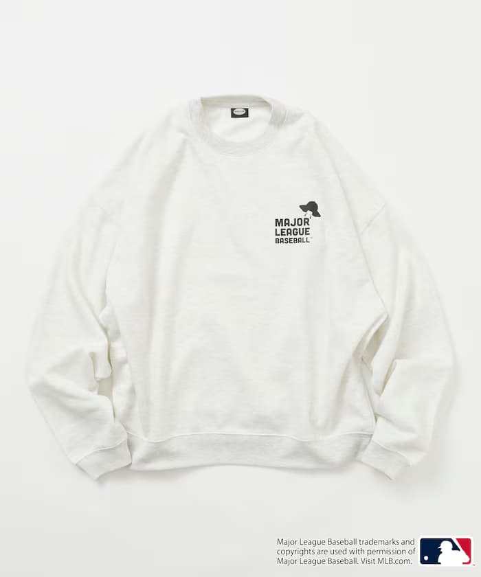 item6aab681039f85.jpg