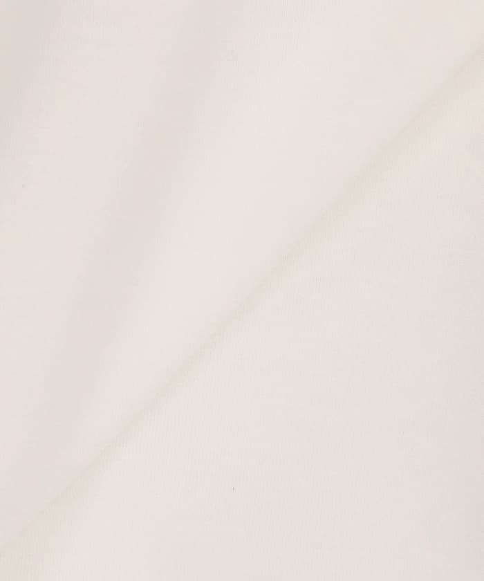 item6aac9a8b83a17.jpg