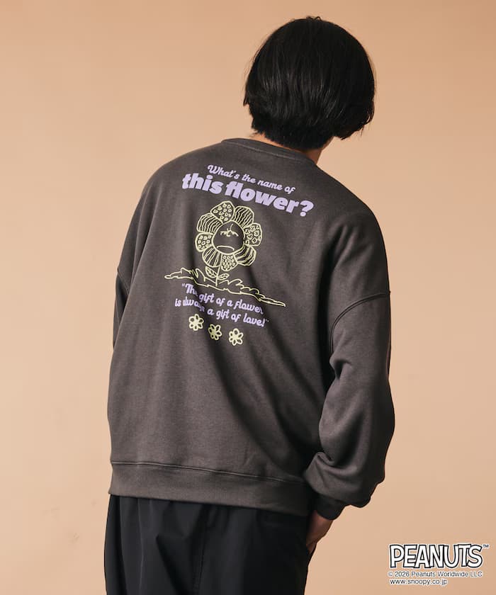 item6ab5fc5a4fd96.jpg