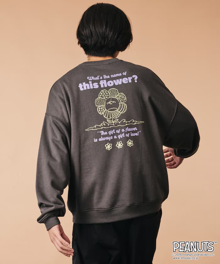 item6ab5fc661a36b.jpg