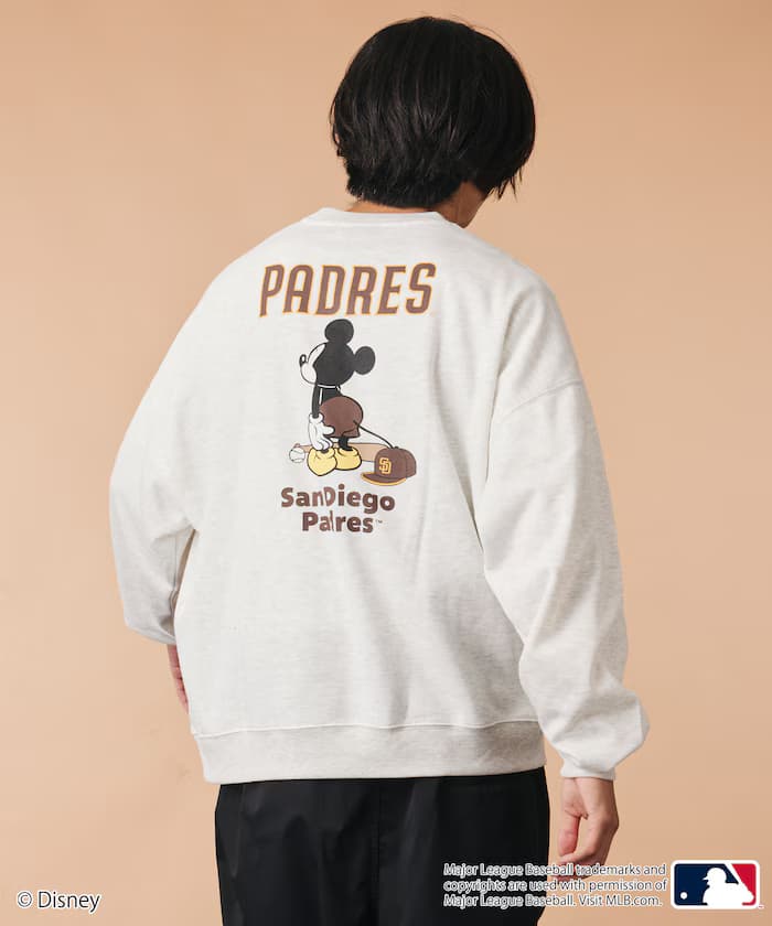 item6ab5fe2091285.jpg