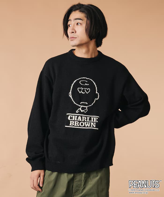 item6ab6043e8cec4.jpg