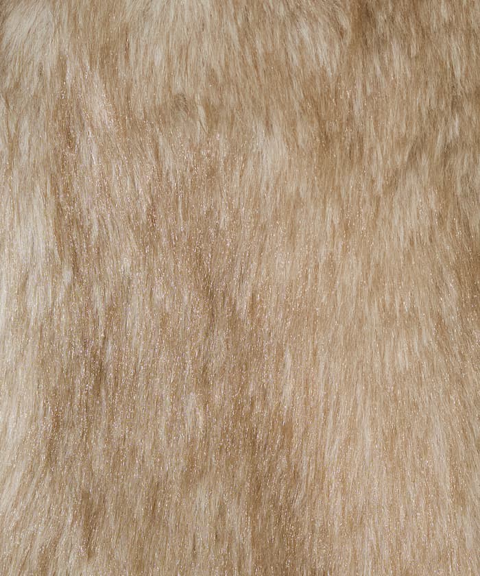 item6abb81f30c92e.jpg