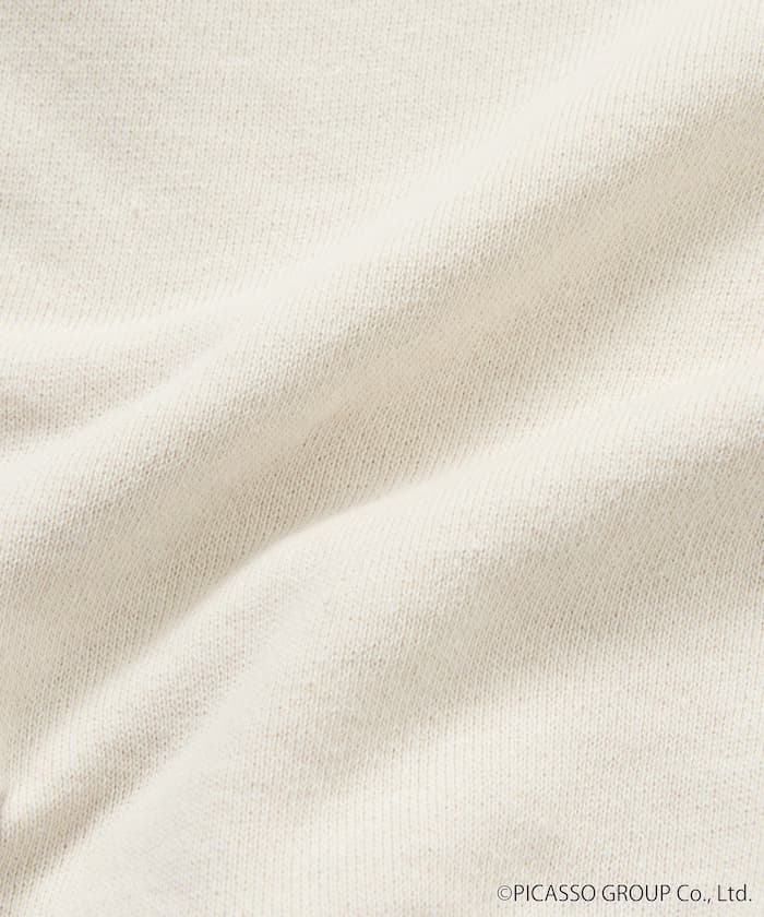 item6ad08c8568a22.jpg