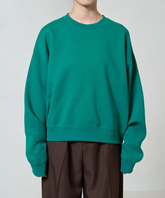 item6ad9a408a5fc0.jpg
