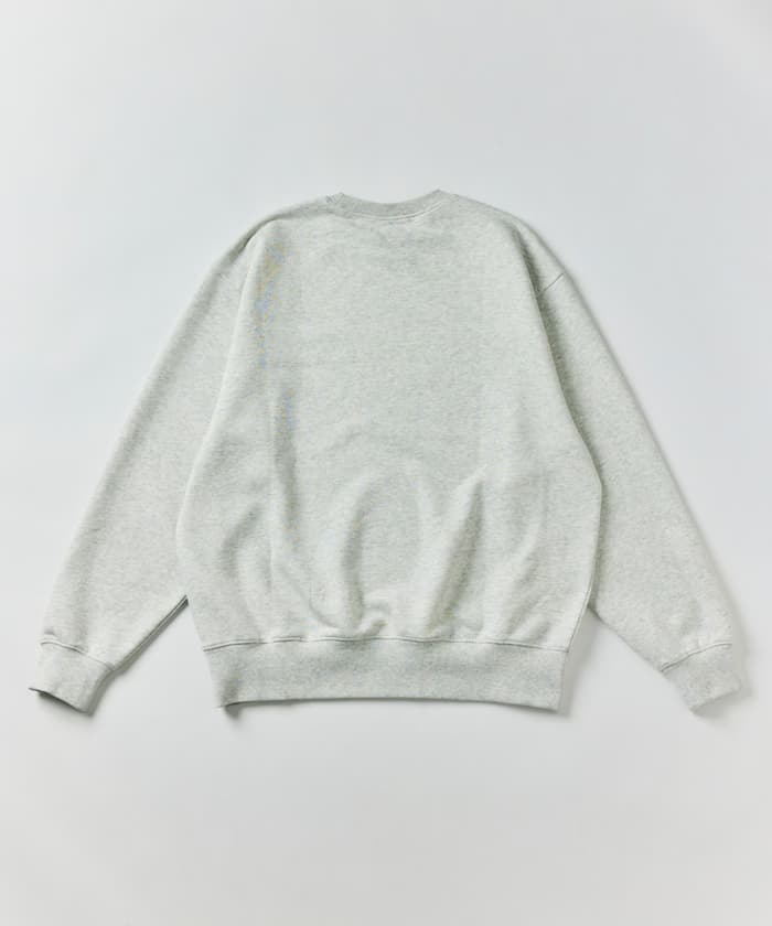 item6ae0661ce6065.jpg