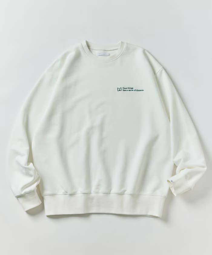 item6ae0661d3c1fa.jpg