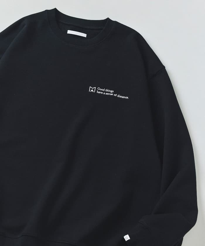 item6ae0661f4720e.jpg