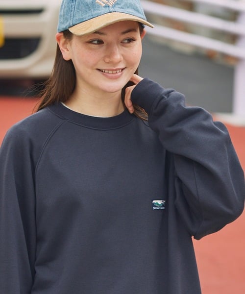 101762753b_b_72_500.jpg