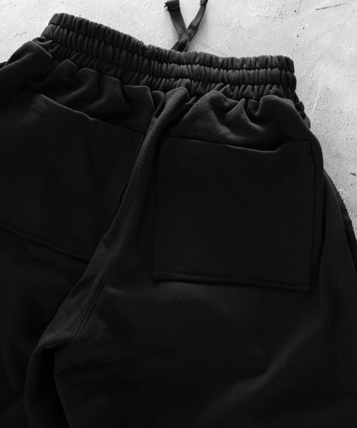105042751b_b_12_500.jpg