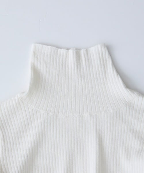 97730683b_b_80_500.jpg